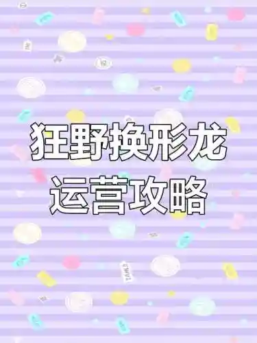 龙阵容过渡插图1