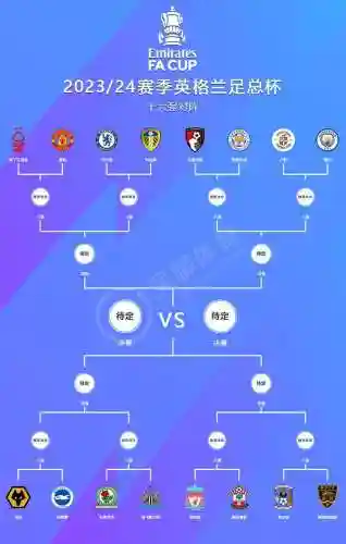 2014足总杯阵容插图