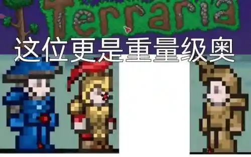 泰拉瑞亚的装备鸡肋套插图1