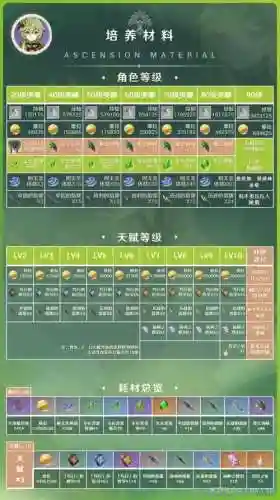 柯莱阵容插图