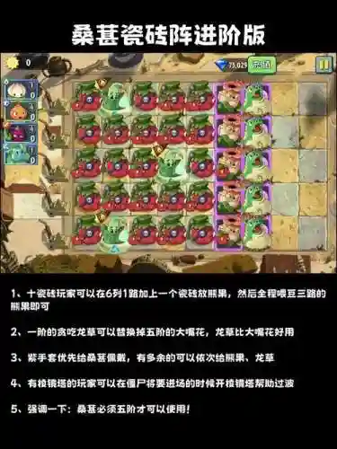 泰坦巨龟阵容插图1