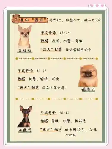 史诗恶犬攻略插图1
