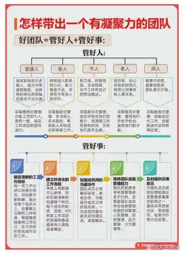 导管阵容搭配插图1