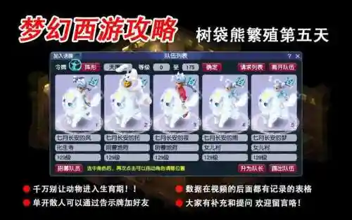 梦幻西游树袋熊幼年期插图1