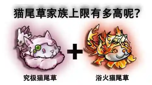 昊猫阵容插图1