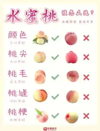 蜜桃搭配什么阵容插图1