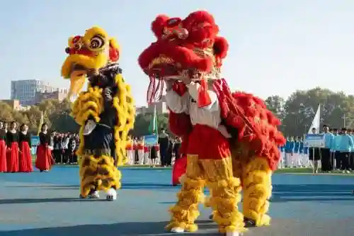 舞狮的阵容插图