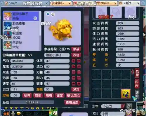 梦幻西游超级金猴进阶插图