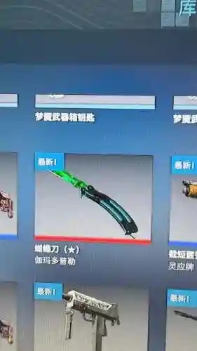 csgo伽马武器钥匙_1插图1
