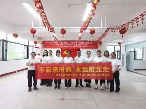 党建活动阵容插图1