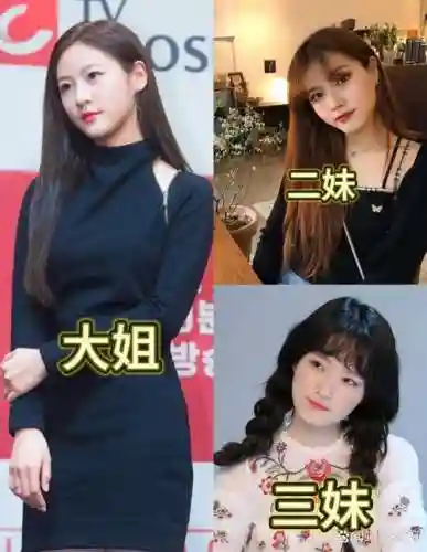 金姐阵容_1插图
