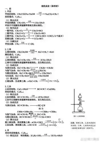 纯反应阵容插图