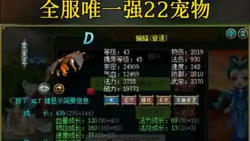 神龙战士宠物装备怎么强化插图