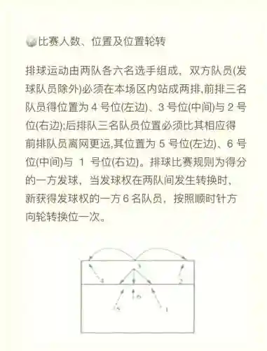 女排阵容规则插图