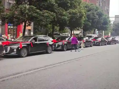 迎亲车队阵容插图
