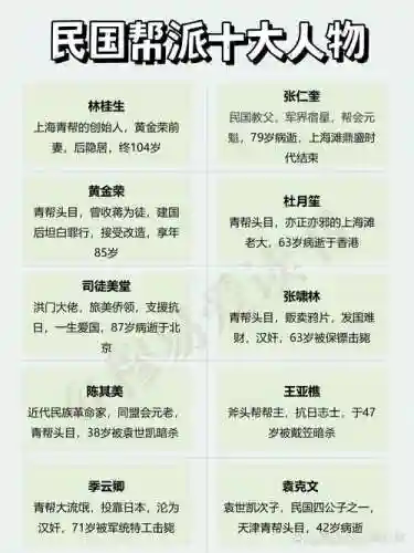 匪帮阵容简称插图1