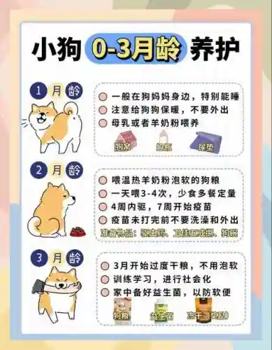 狗狗育成所攻略插图1