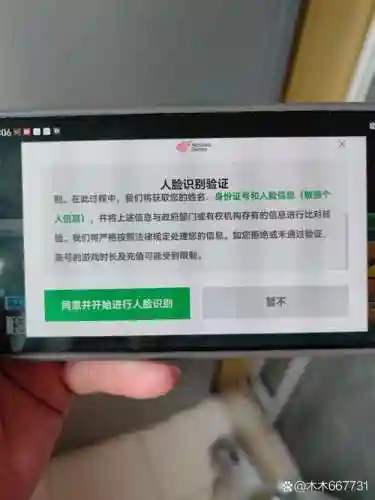 梦幻西游在线验证插图