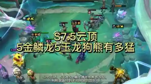 7.5狗熊阵容插图