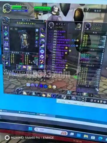 wow武器战士圣物插图1