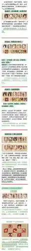 白虎推荐阵容搭配插图