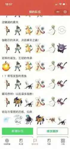 口袋妖怪黑魅影的游戏视频攻略大全_1插图