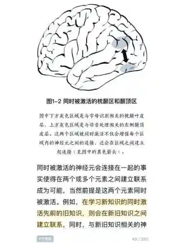 brainiton34攻略插图1