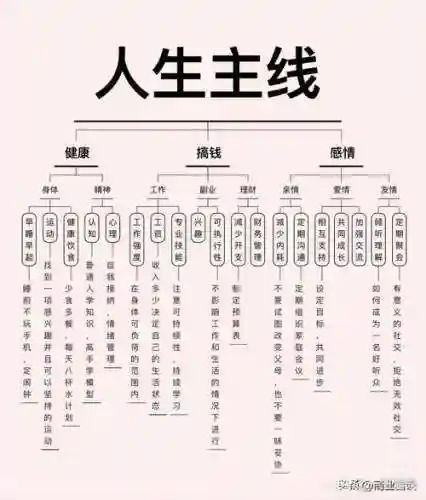 人生新手阵容_1插图1