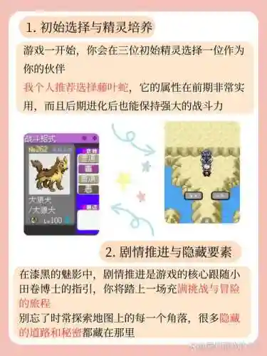 口袋妖怪黑魅影的游戏视频攻略大全_1插图1