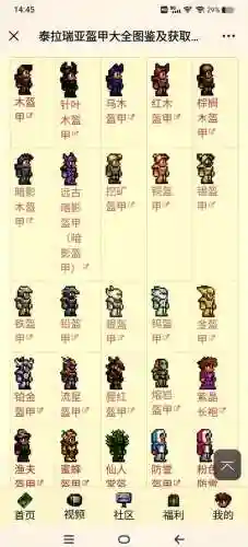 泰拉瑞亚装备战士插图