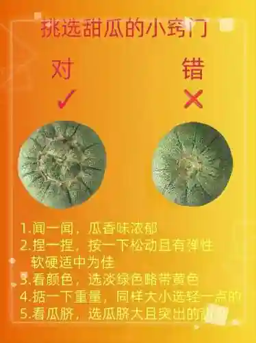 甜瓜技能选择插图1