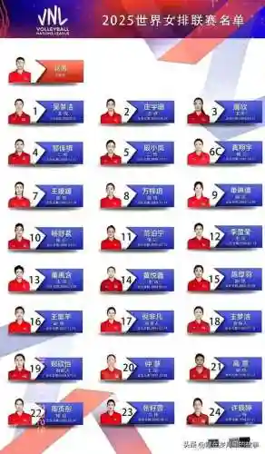 女排阵容搭配表插图