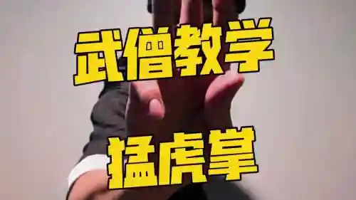 武僧老虎是什么技能_1插图