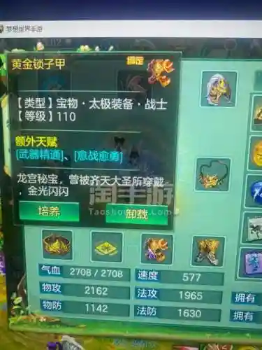 梦想世界巫师选什么武器_1插图1