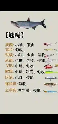 钓鱼发烧友隐藏鱼鱼饵攻略插图1
