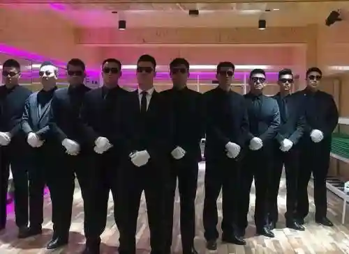 保镖阵容搭配图片插图1