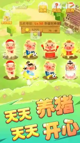 养小猪阵容_2插图