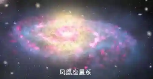 凤凰座阵容搭配插图