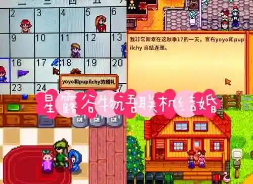 星露谷物语结婚攻略tgp插图1