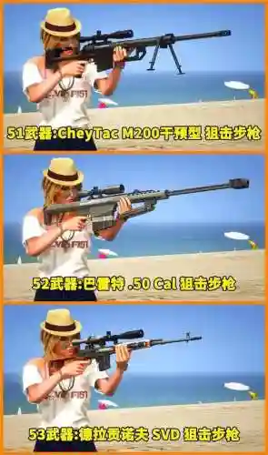 gta5成就武器_1插图1