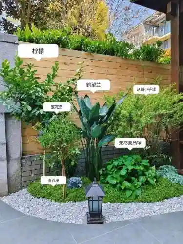 创意庭院超强植物阵容搭配插图