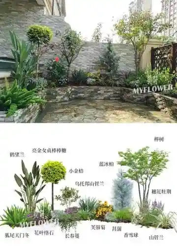 创意庭院超强植物阵容搭配插图1