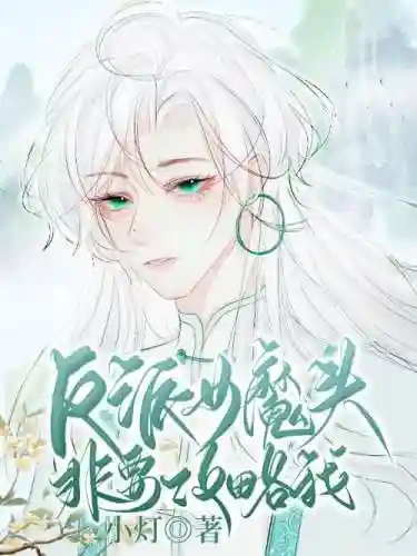 反派的逆袭攻略女魔头插图