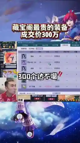 梦幻藏宝阁高价装备插图