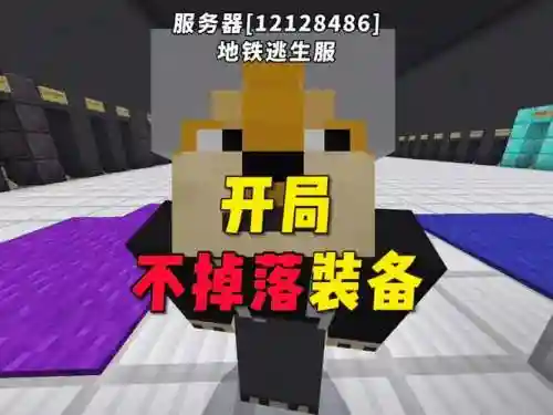 我的世界失落世界装备不上插图