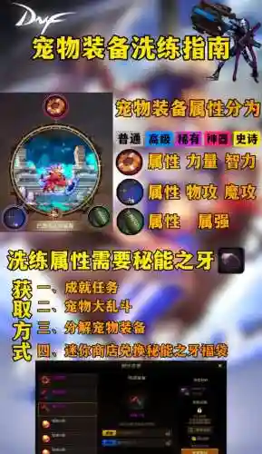 哪里出宠物装备_1插图