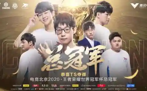 ts的阵容搭配插图