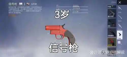 吃鸡截图测本命装备插图