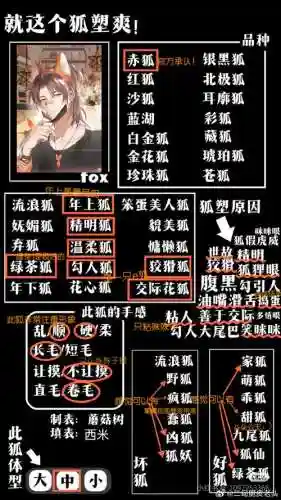 狐媚阵容搭配插图1