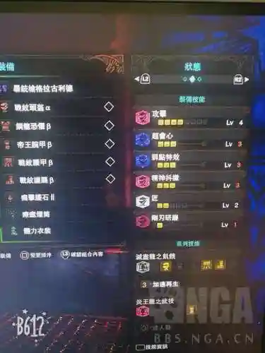 烂辉龙毕业武器配装_2插图1